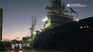 みやぎ風プロジェクトCM01