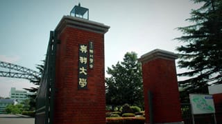 奥羽大学2017フィラー01