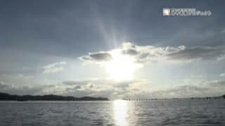 風プロジェクト01