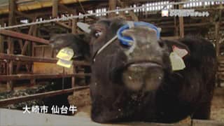 風プロジェクト03