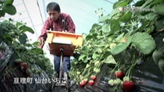 風プロジェクト04