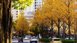 プラウド本町ディアージュ立地篇03