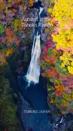 東北観光推進機構英語版01