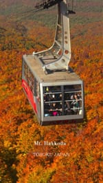 東北観光推進機構英語版02